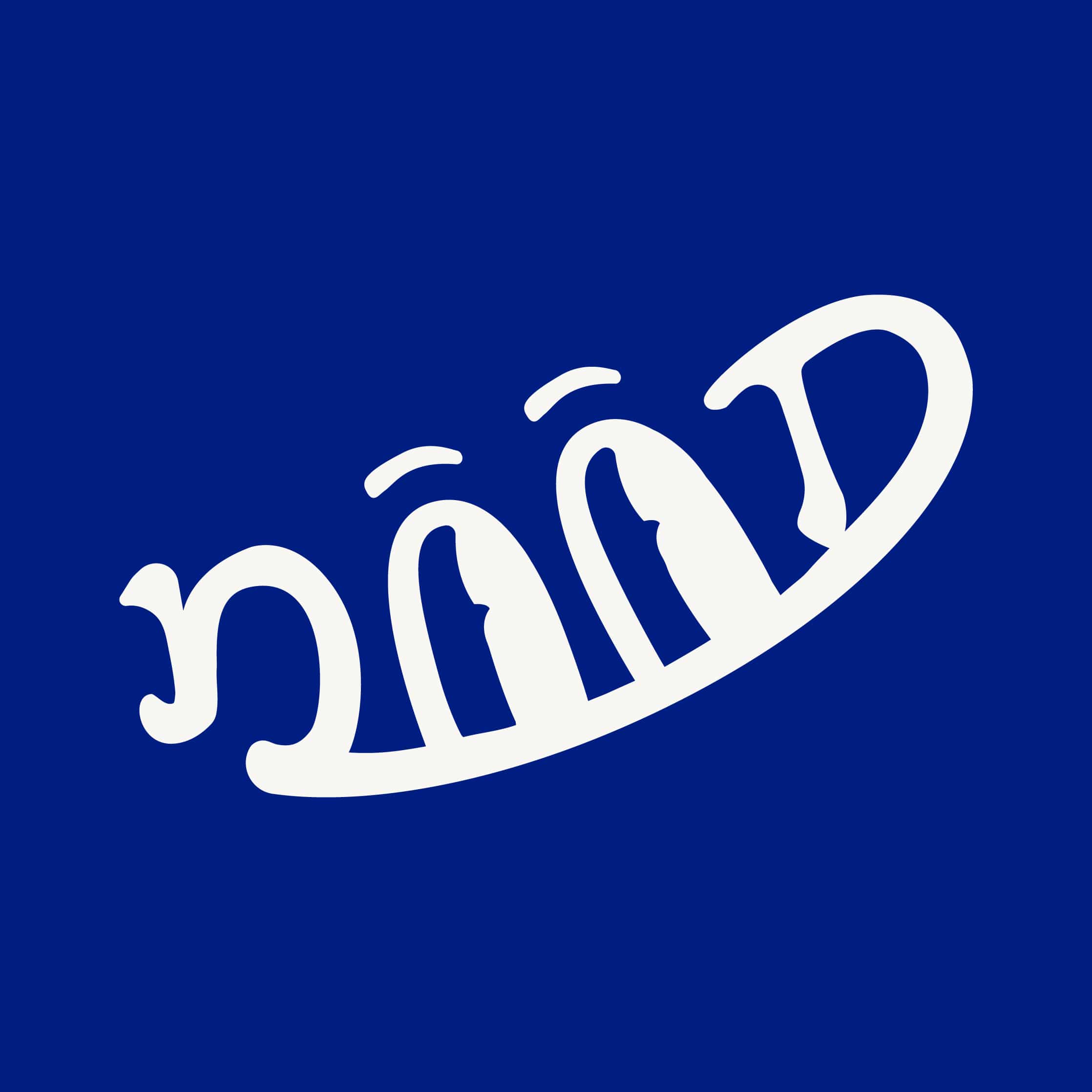 最新設計師: Nood Creative